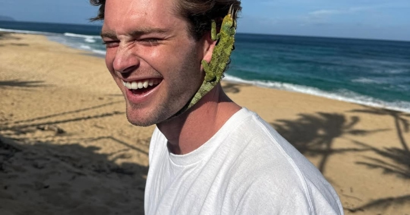 Why Jordan Frank actor is frequently searched